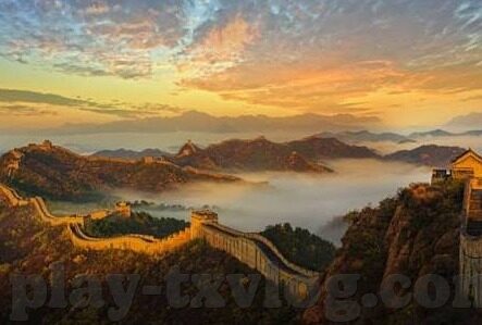 成人免费观观看视频播放-网络时代的灰色地带与界限