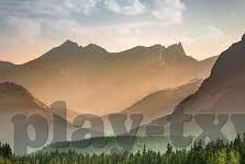 交换的一天中文字幕哪有-交换的一天，探索中文字幕的奇妙之旅